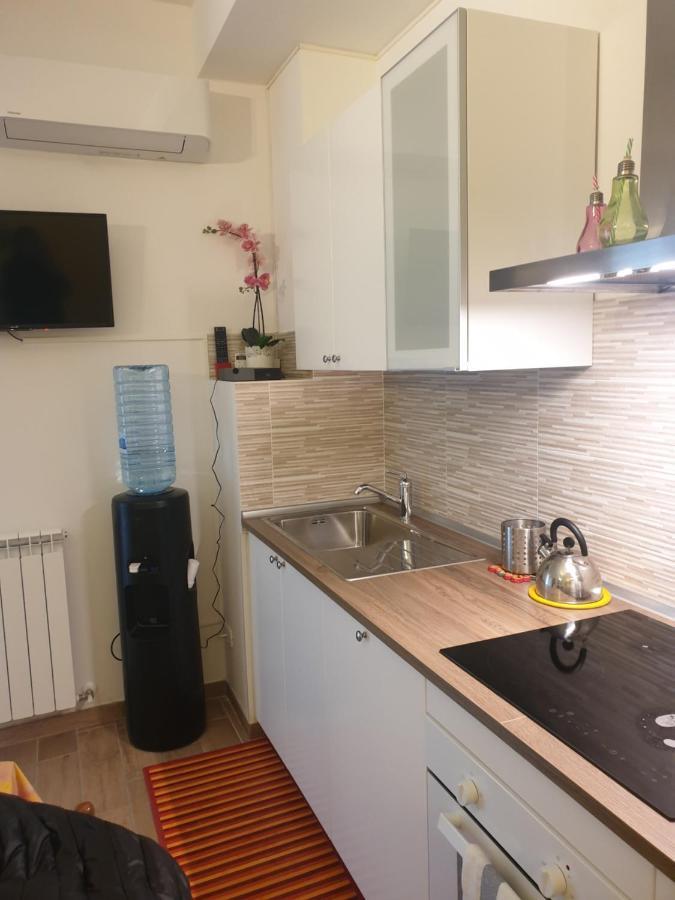 Francy House 2 Daire Bolonya Dış mekan fotoğraf